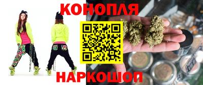 прущие грибы Канаш
